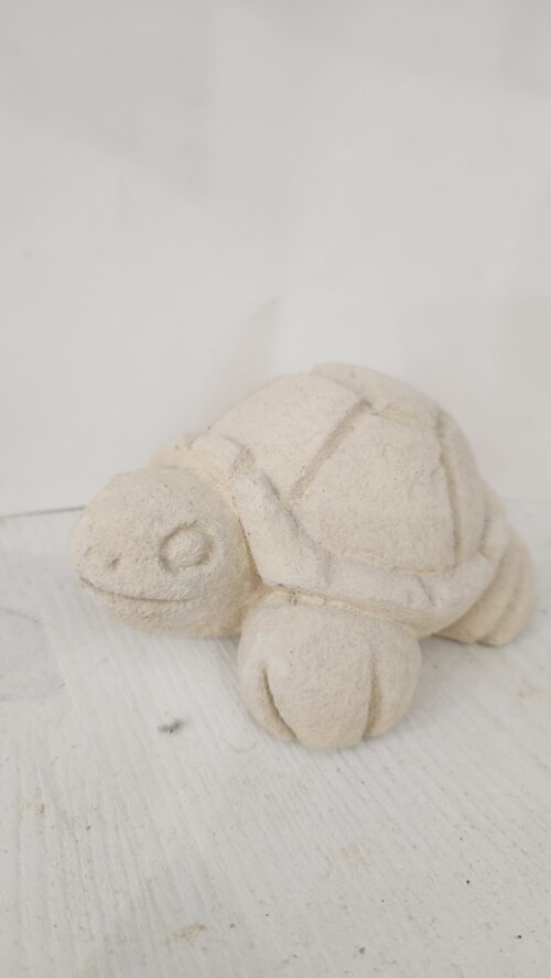 Tartaruga
